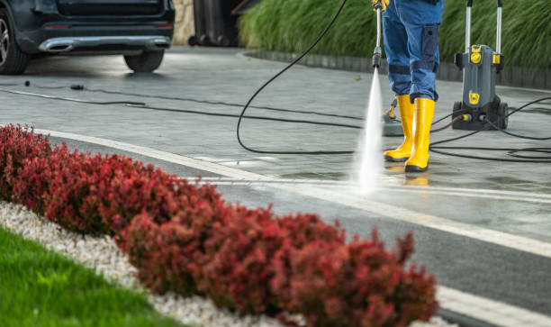 Best Commercial Building Pressure Washing  in Everman, TX